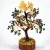 Money-Magnet-tree-Natural