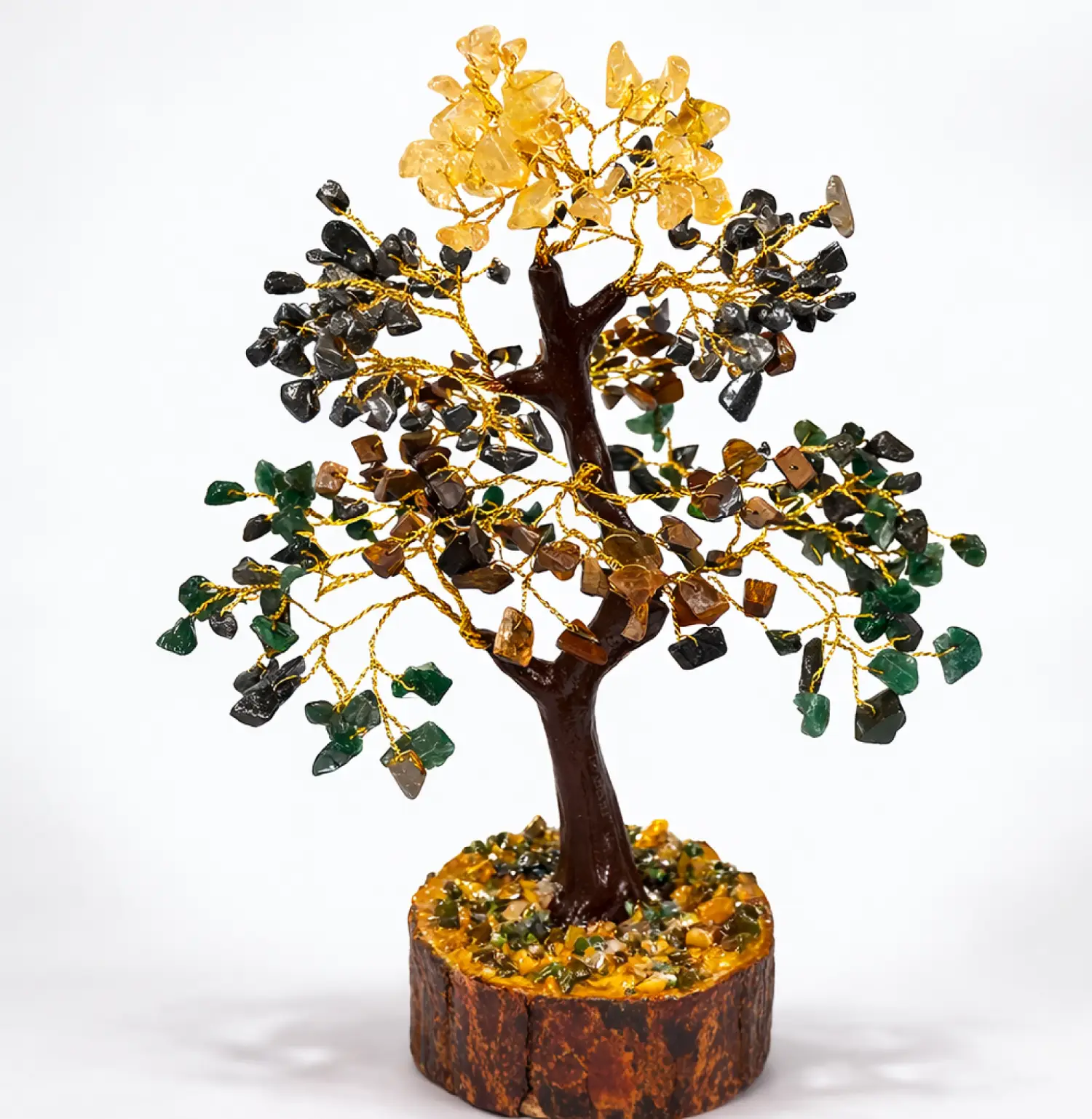 Money-Magnet-tree-Natural