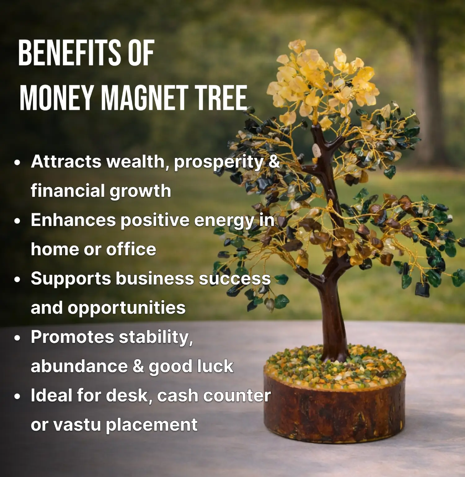 Money-Magnet-tree-lnfo