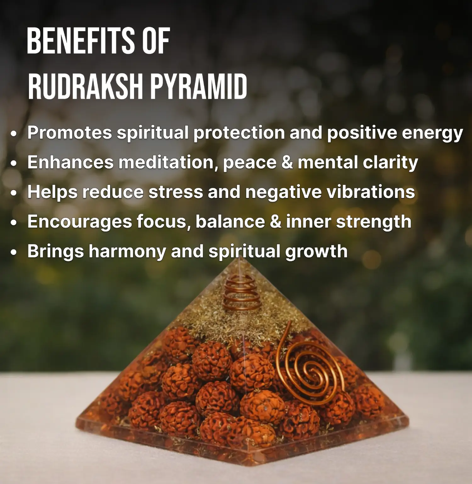 Rudraksha Pyramid Info