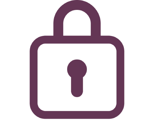 100% Secure Payment