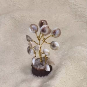 Gomati Chakra Tree