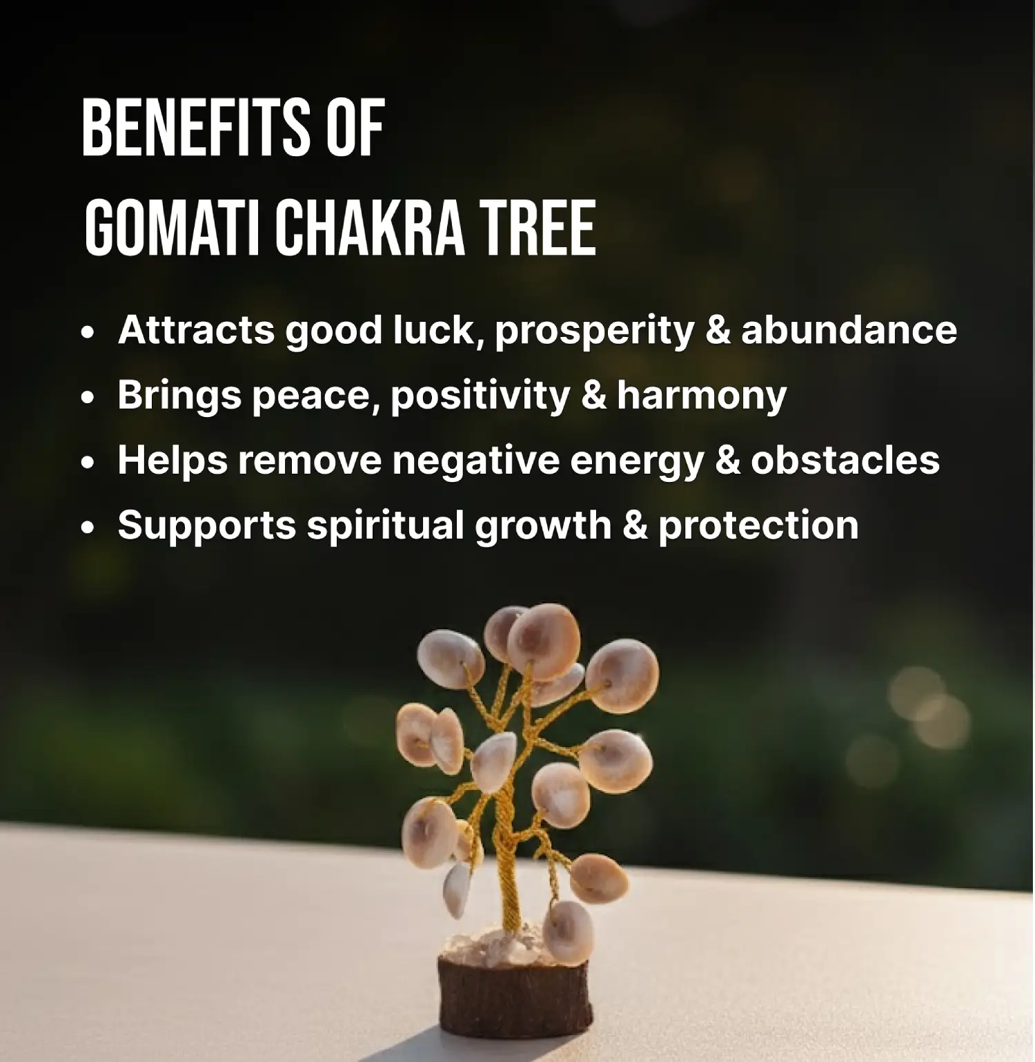 Gomati Chakra Tree - Image 3