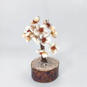 Gomati Chakra with Rudraksh Tree