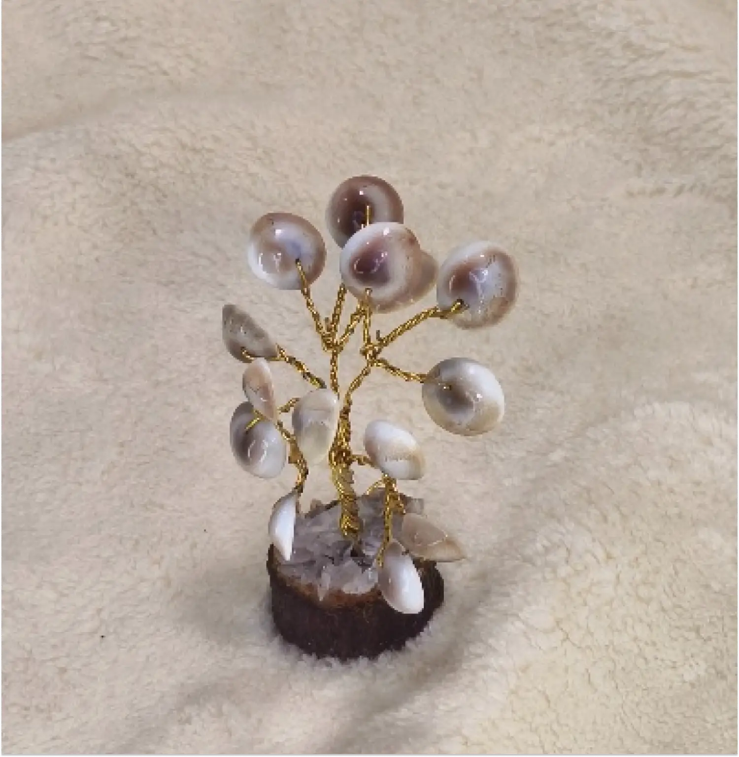 Gomati Chakra Tree